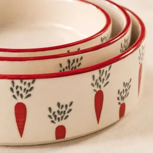 The Plush Republic Luxury Hand-Painted Round Bowl Set (Carrot Print)